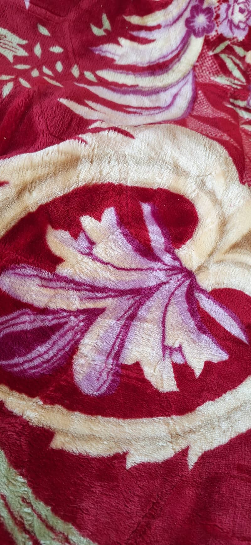 Carpet 4