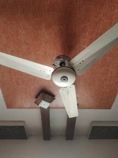 fan for sale 03234120472