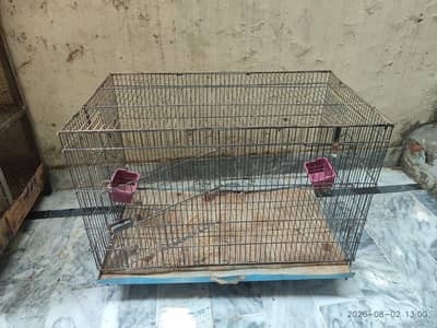 Iron Cage
