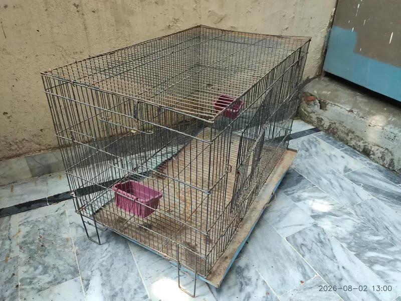 Iron Cage — photo 2