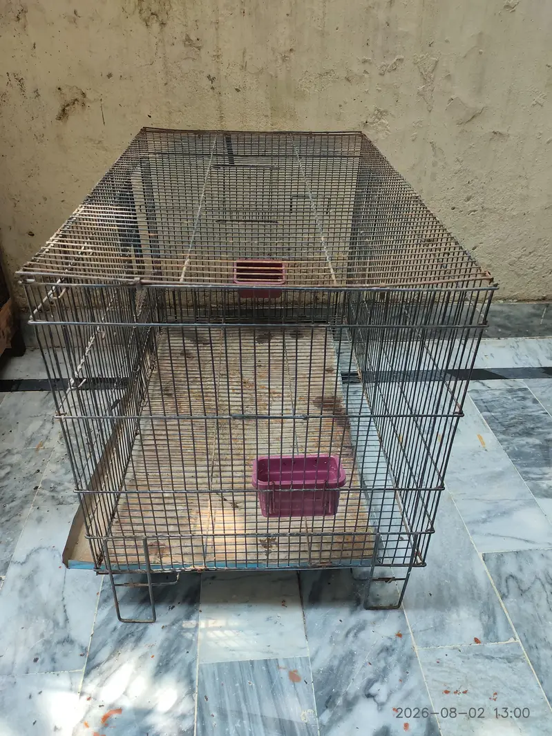 Iron Cage — photo 3