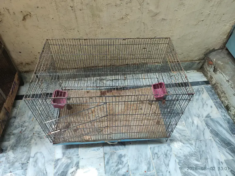 Iron Cage — photo 4
