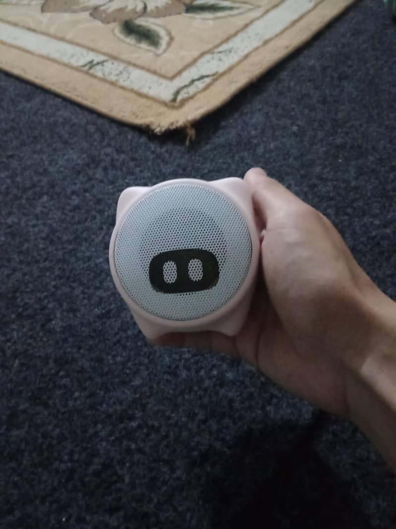 Wireless portable speaker 2