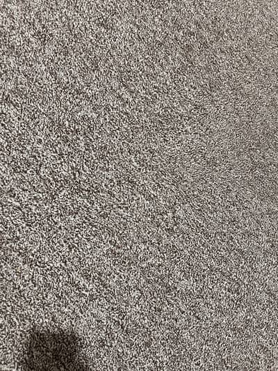 Used Carpet