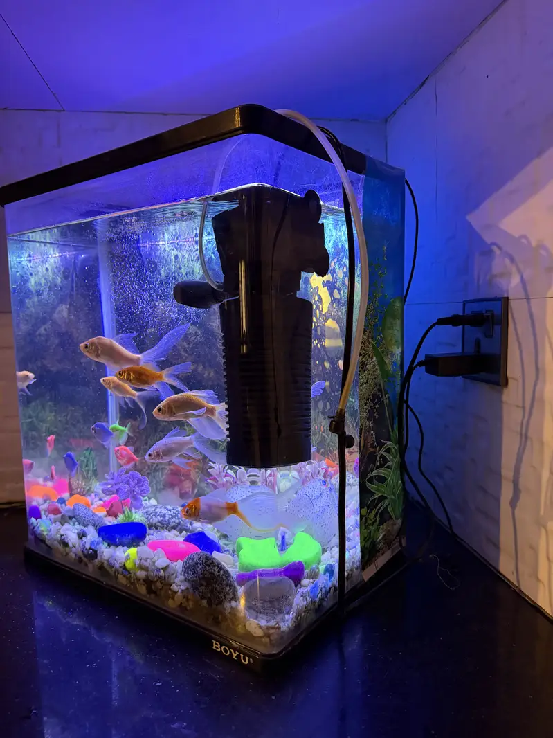 Aquarium with pump and fishes — photo 2