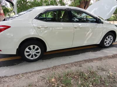 Gift for Corolla Lovers