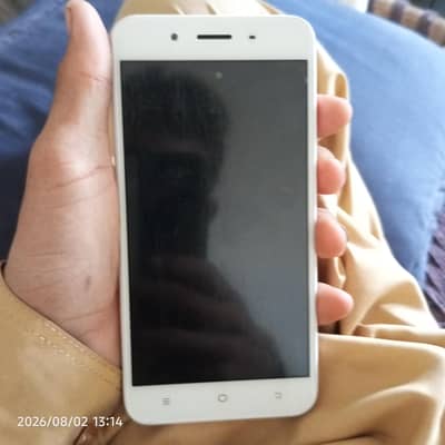 Vivo o