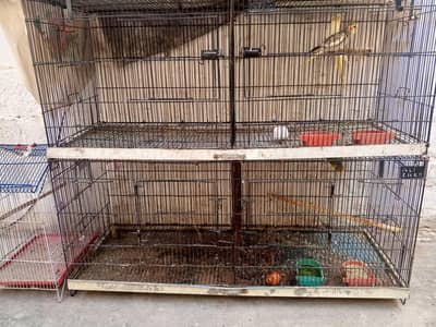 heavy cage for sale best for ringnecks and raw parrots