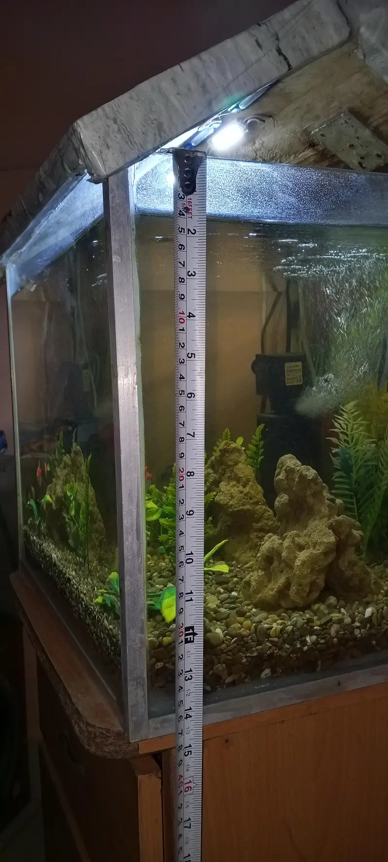 Fish aquarium+fish — photo 6