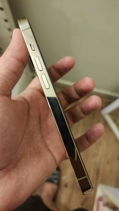 Apple iPhone 14 Pro (Factory unlocked)