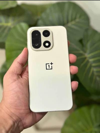 One Plus 15 12/256