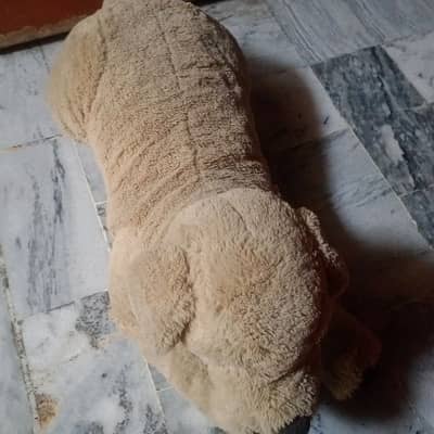 dog hai lana hai liy liy