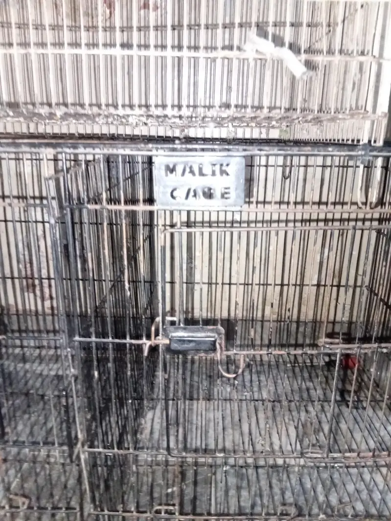 cages for sale — photo 2