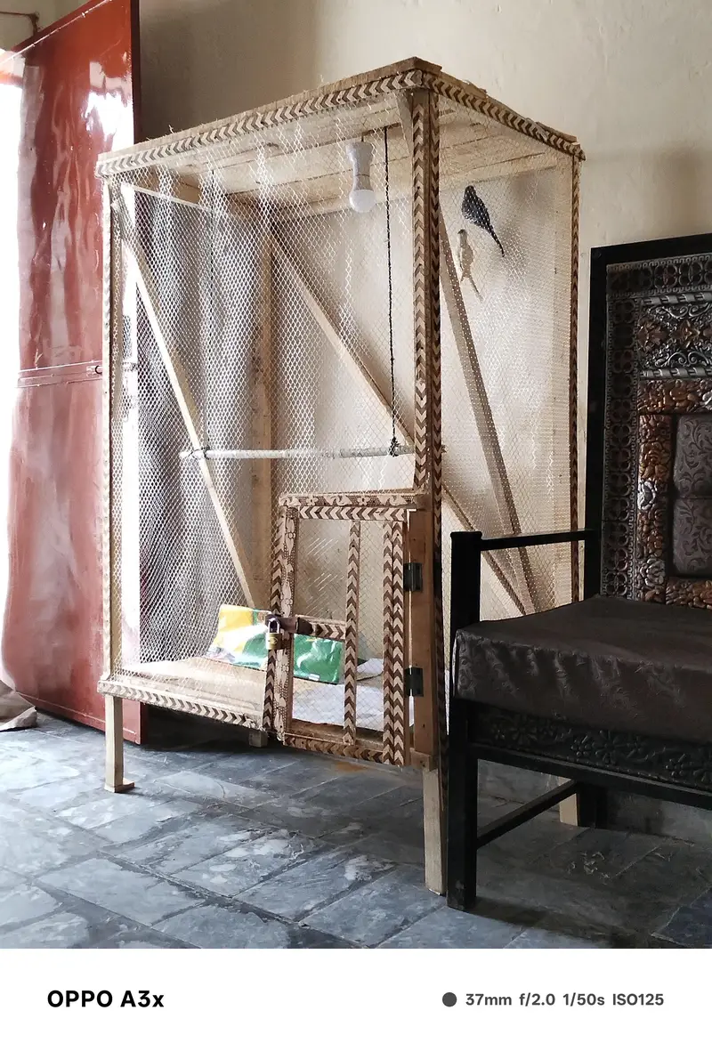 pinjra new condition — photo 2