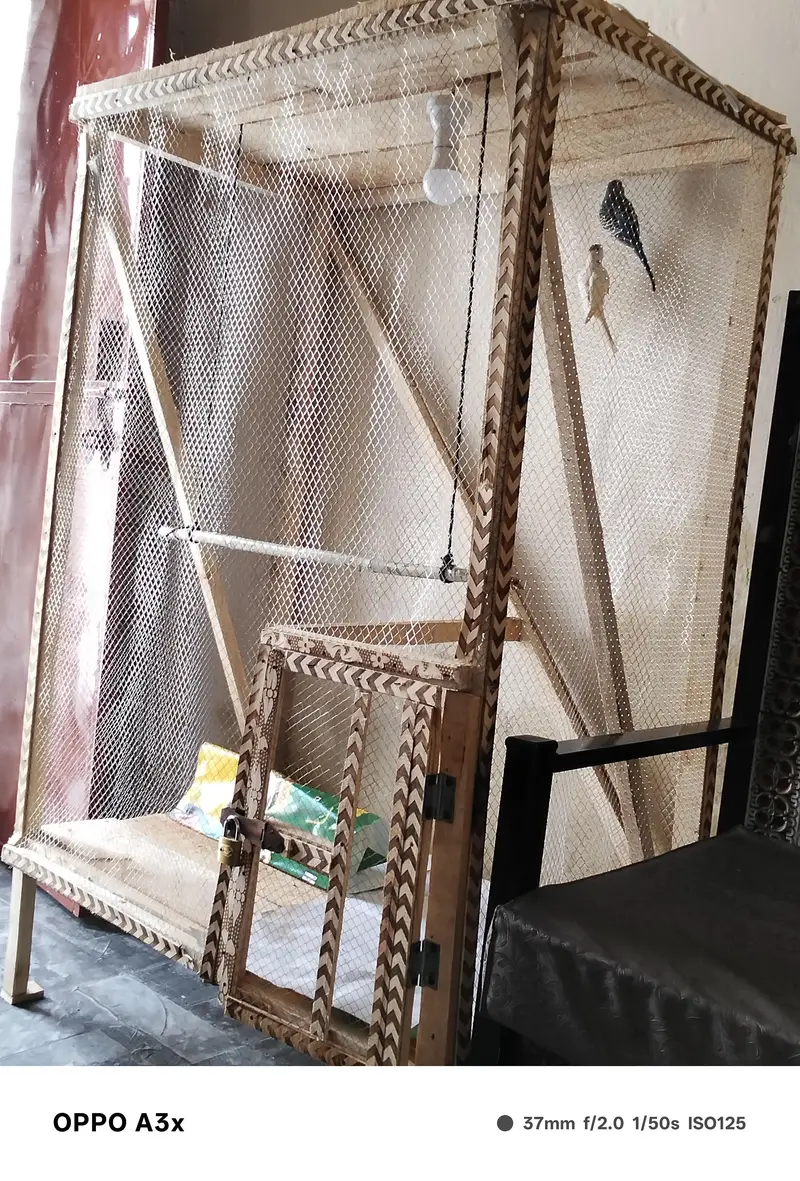 pinjra new condition — photo 3
