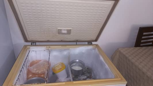 dowlance  deep freezer single door( DF 300p)