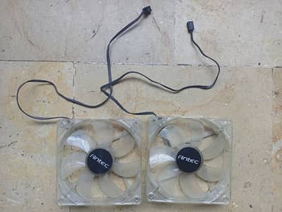 Blue Lighting Fans