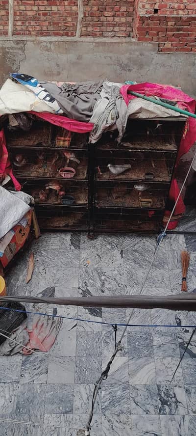 Two cages for four-legged  and birds for sale.