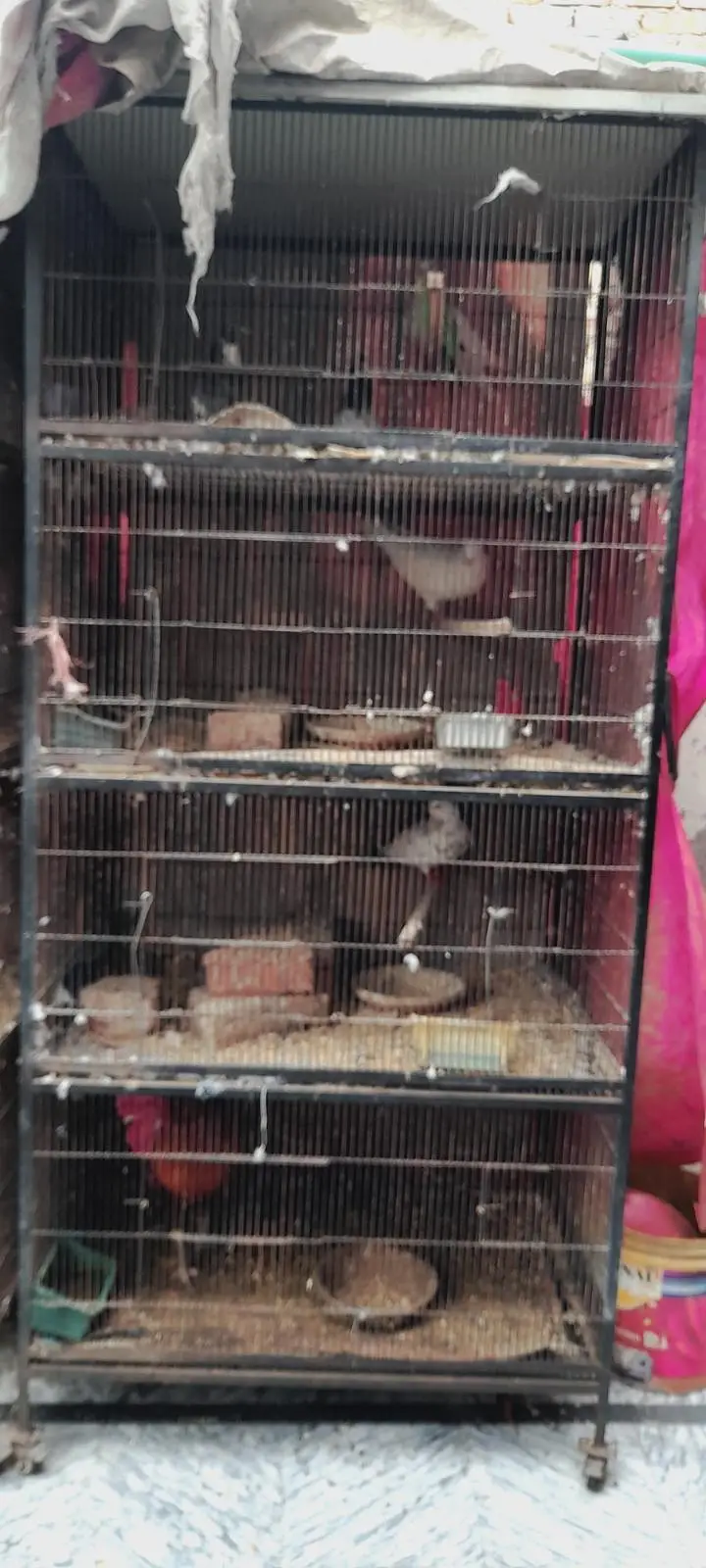 Two cages for four-legged  and birds for sale. — photo 3