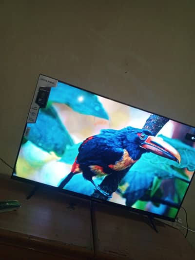3 week used hua hai 1 year complete warranty 43 inch ma