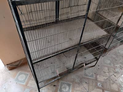 parrot Cage