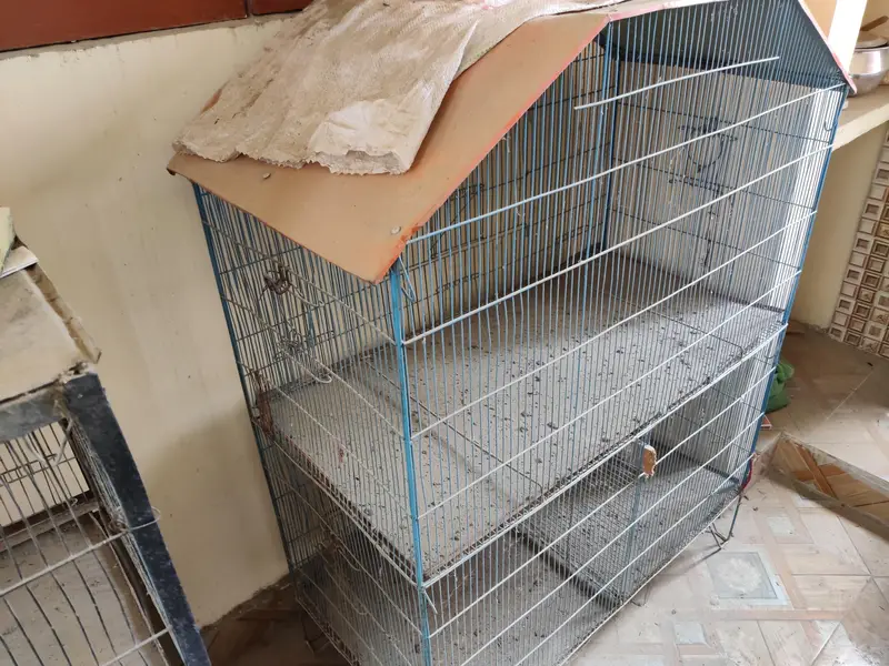 parrot Cage — photo 2