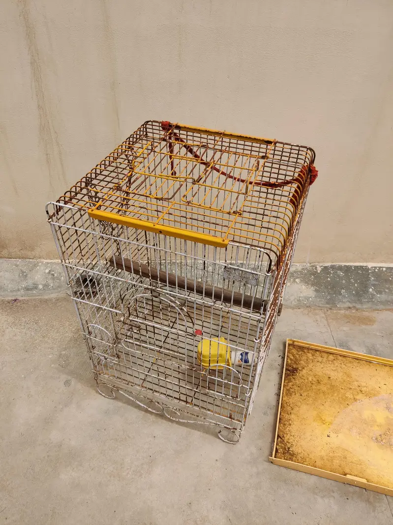 parrot Cage — photo 3