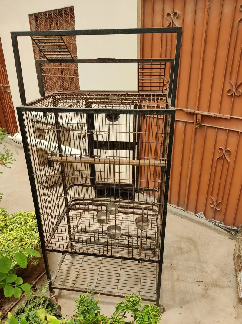 parrot Cage — photo 4