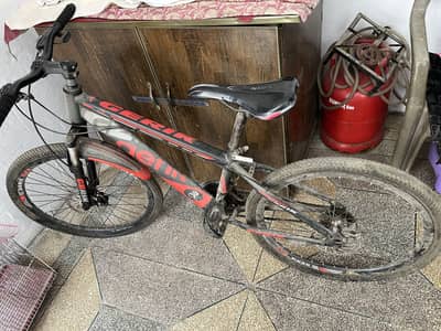 Cycle gerik