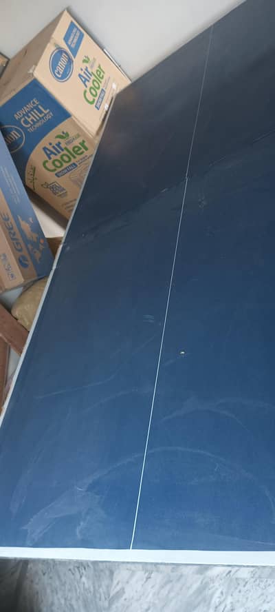 Table Tennis For Sale