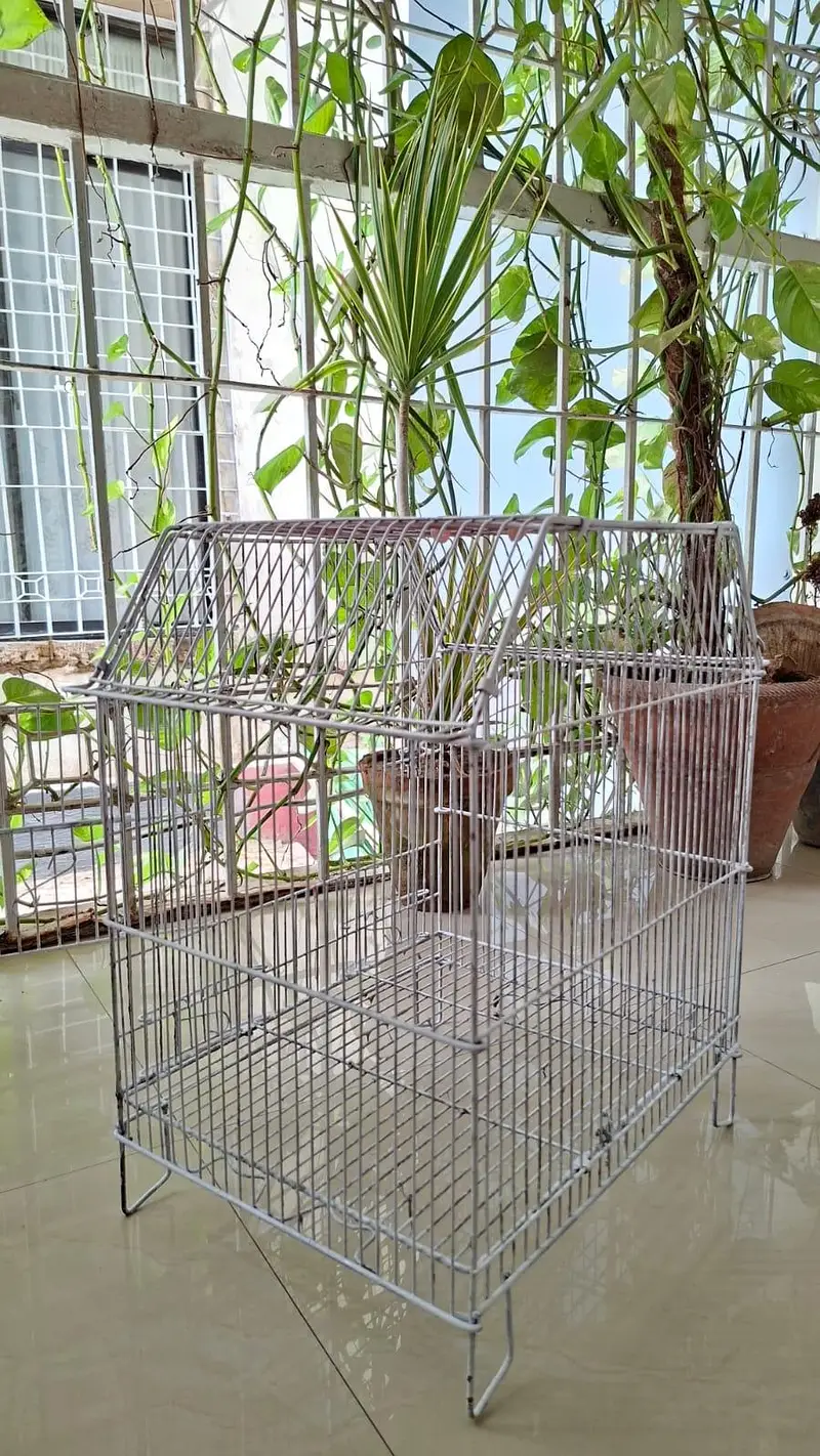 Bird Cage for sale!! — photo 2