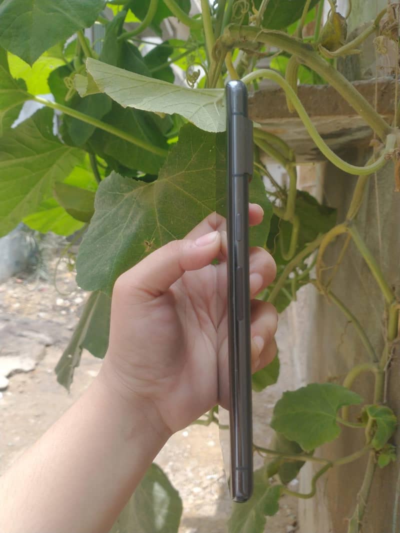 pixel 7 pro 1