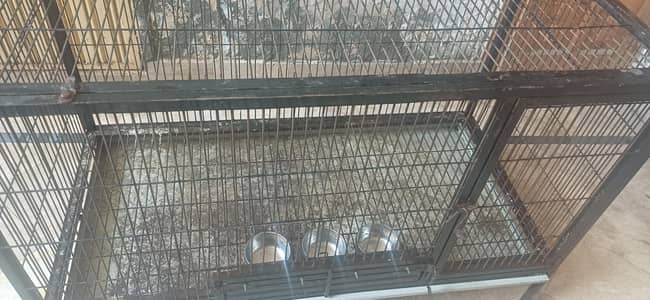 Strong Iron Cage