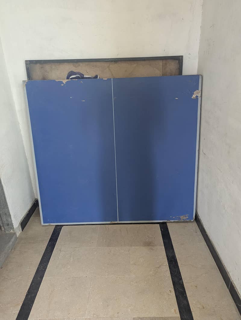 Table Tennis 0