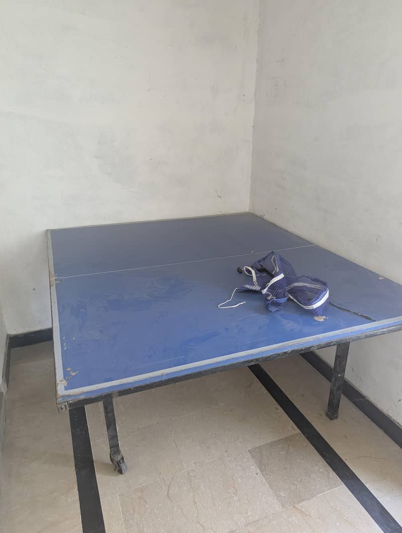 Table Tennis 1