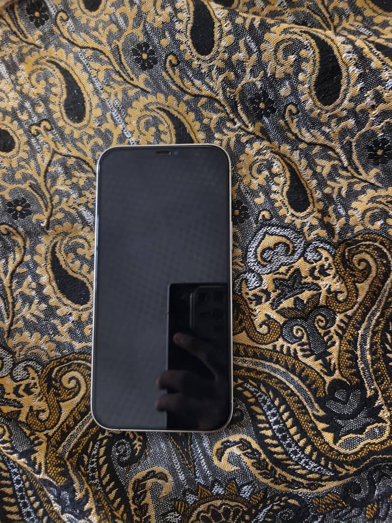 Apple iPhone 12 Pro Max 1