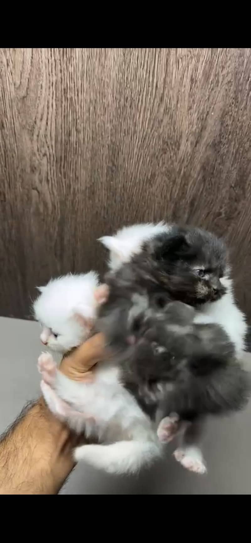 2 babies 0