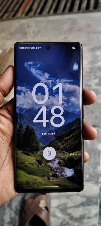 Google Pixel 6 Pro 12 /256