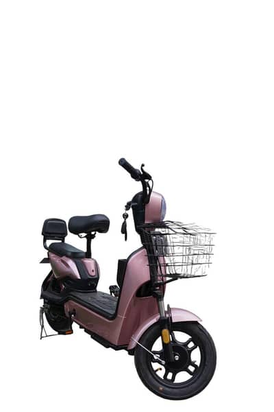 Huaguan Scooti 600w Motor