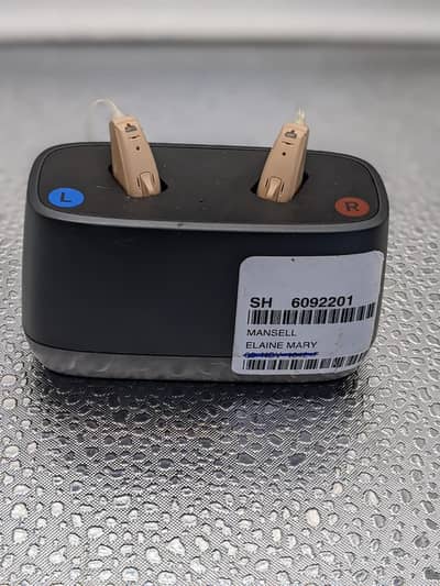 hearing aid