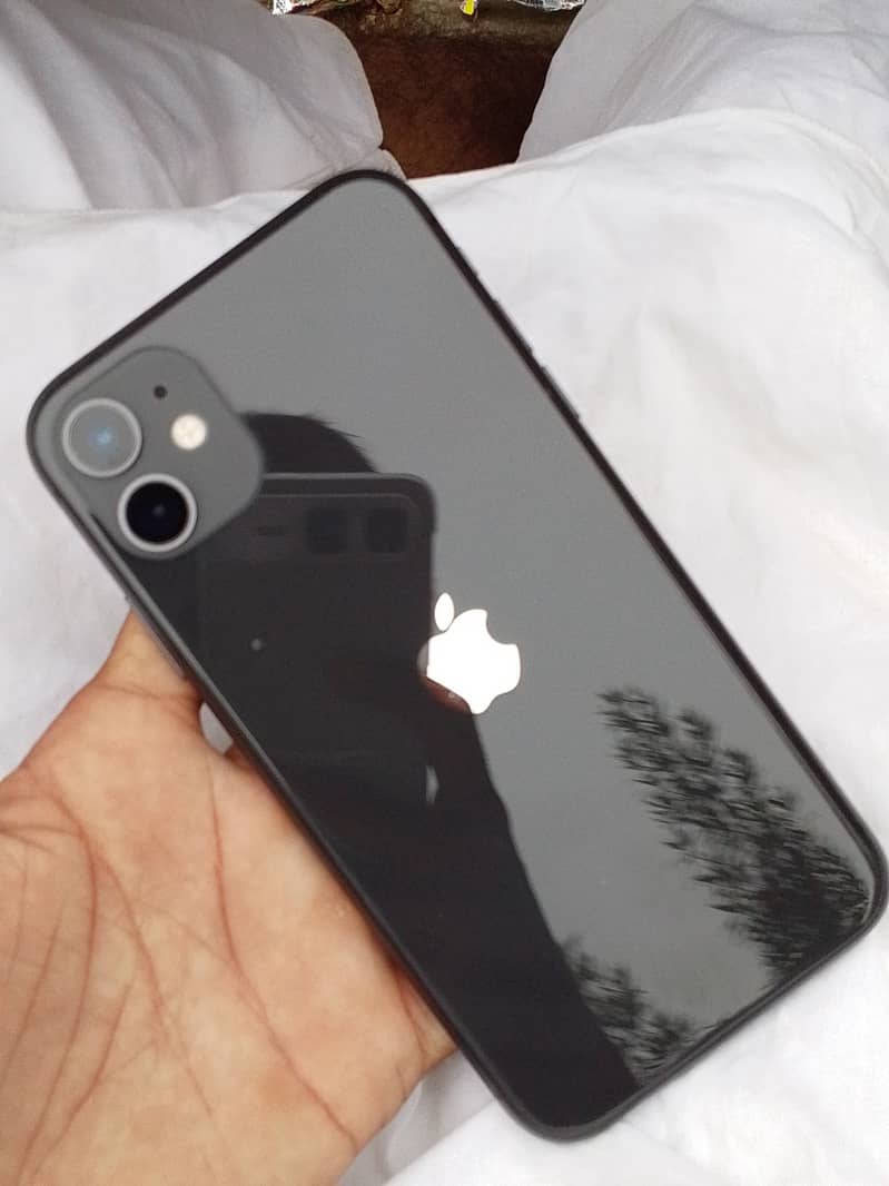 iPhone 11 0