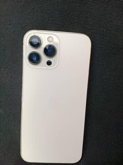 Apple iPhone 13 Pro Max