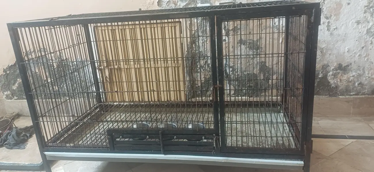 Strong Iron Cage — photo 2