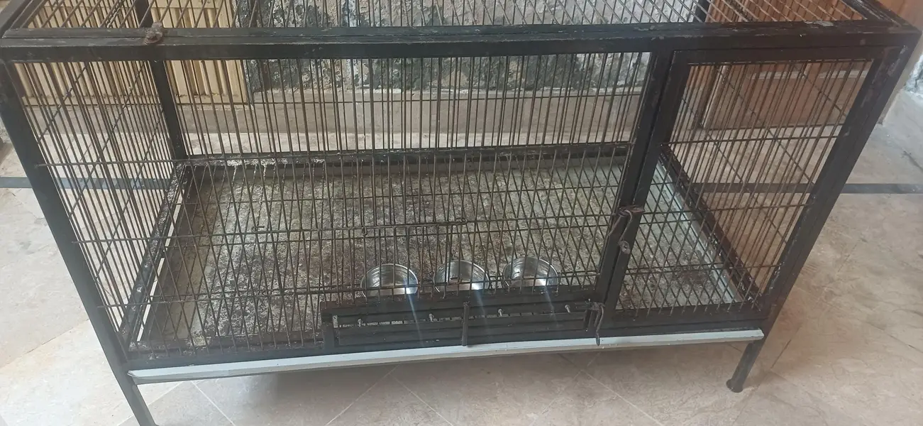 Strong Iron Cage — photo 3