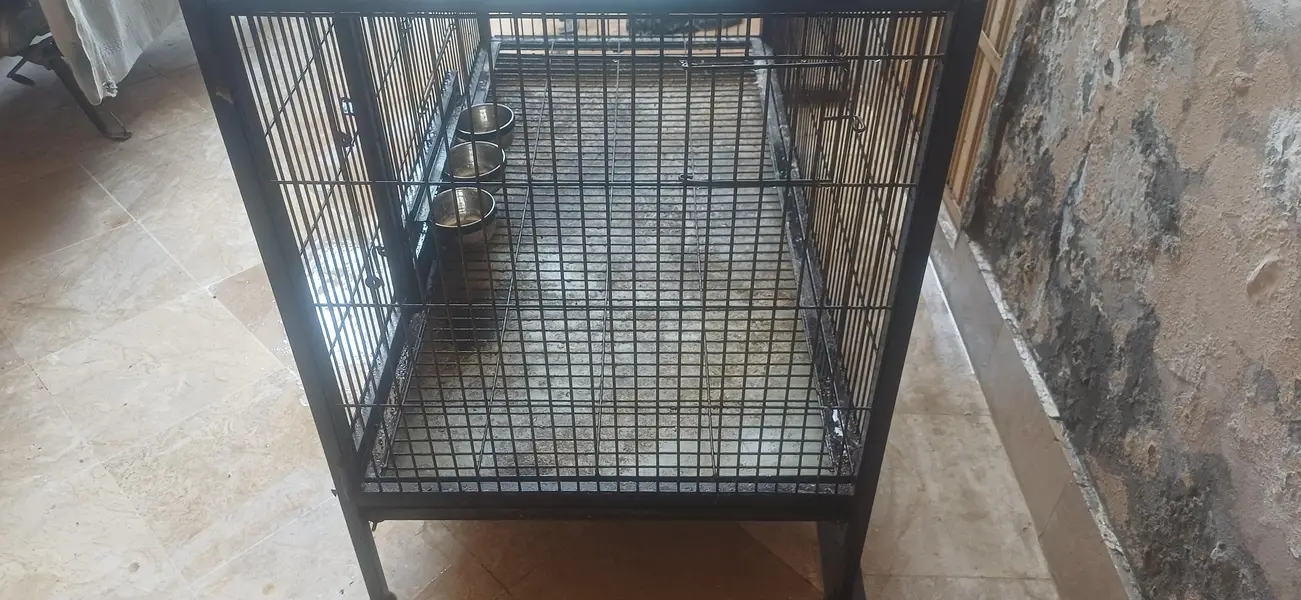 Strong Iron Cage — photo 4