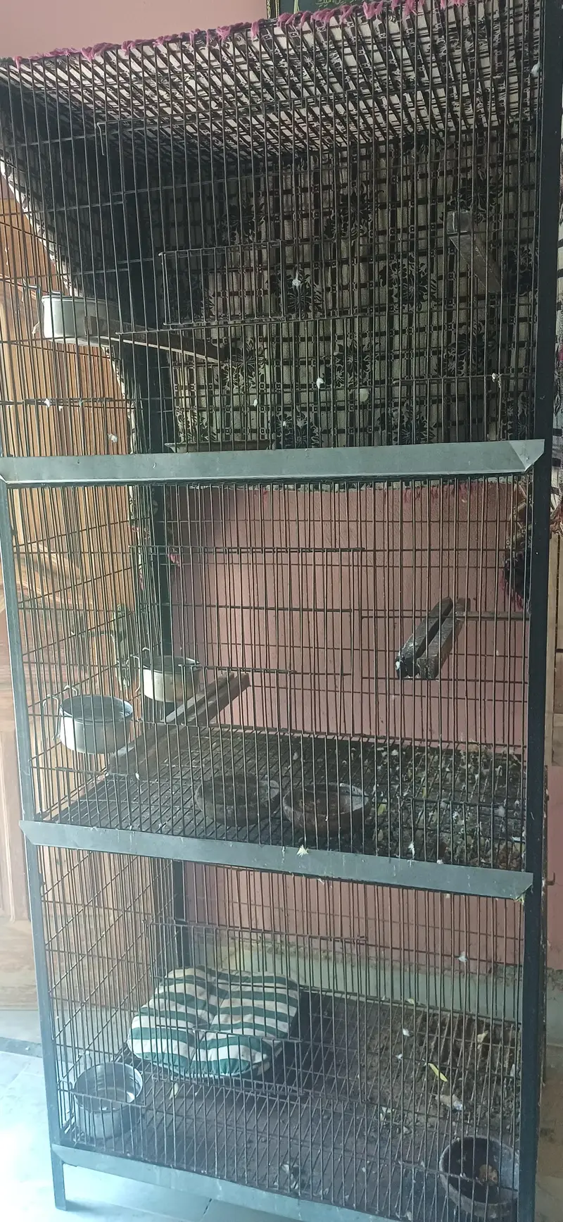 Strong Iron Cage — photo 5