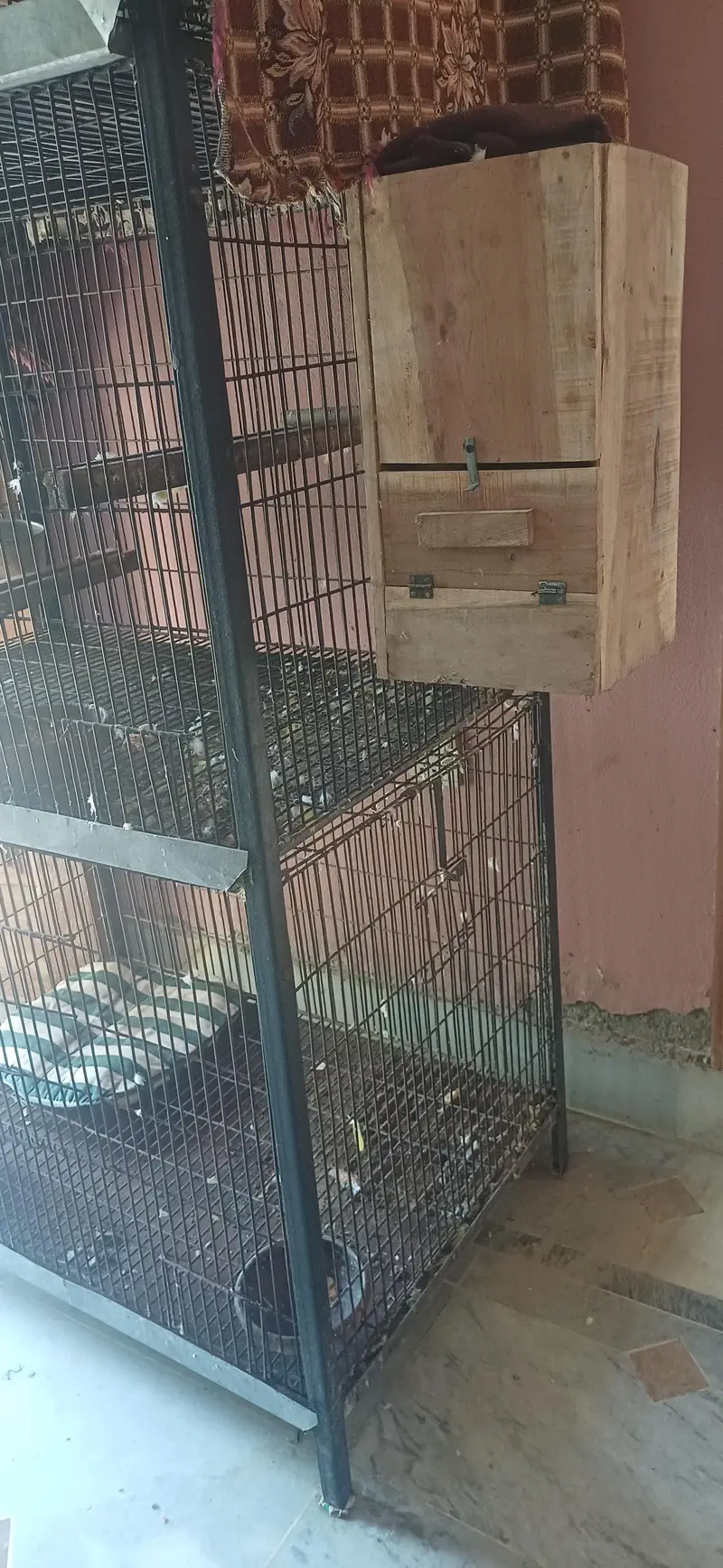 Strong Iron Cage — photo 6