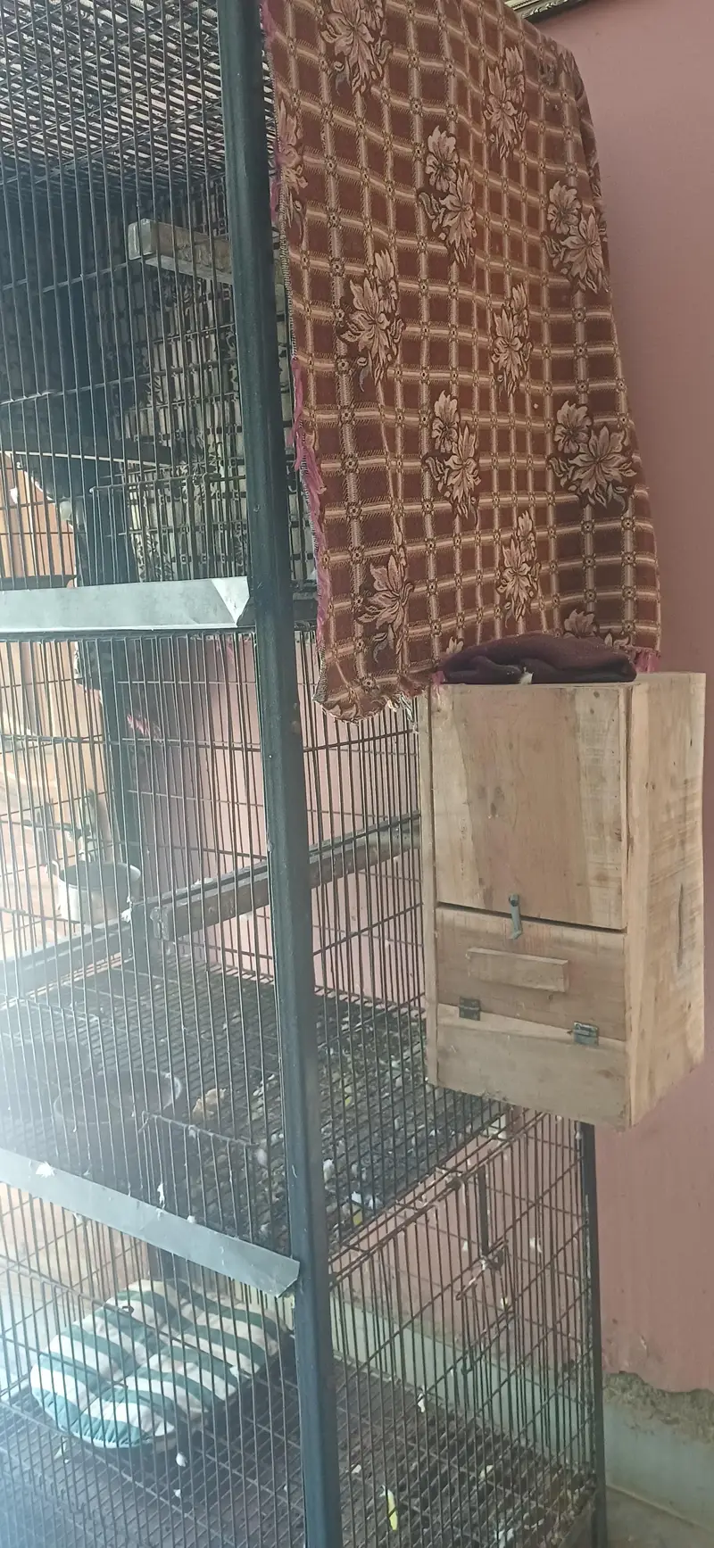 Strong Iron Cage — photo 7