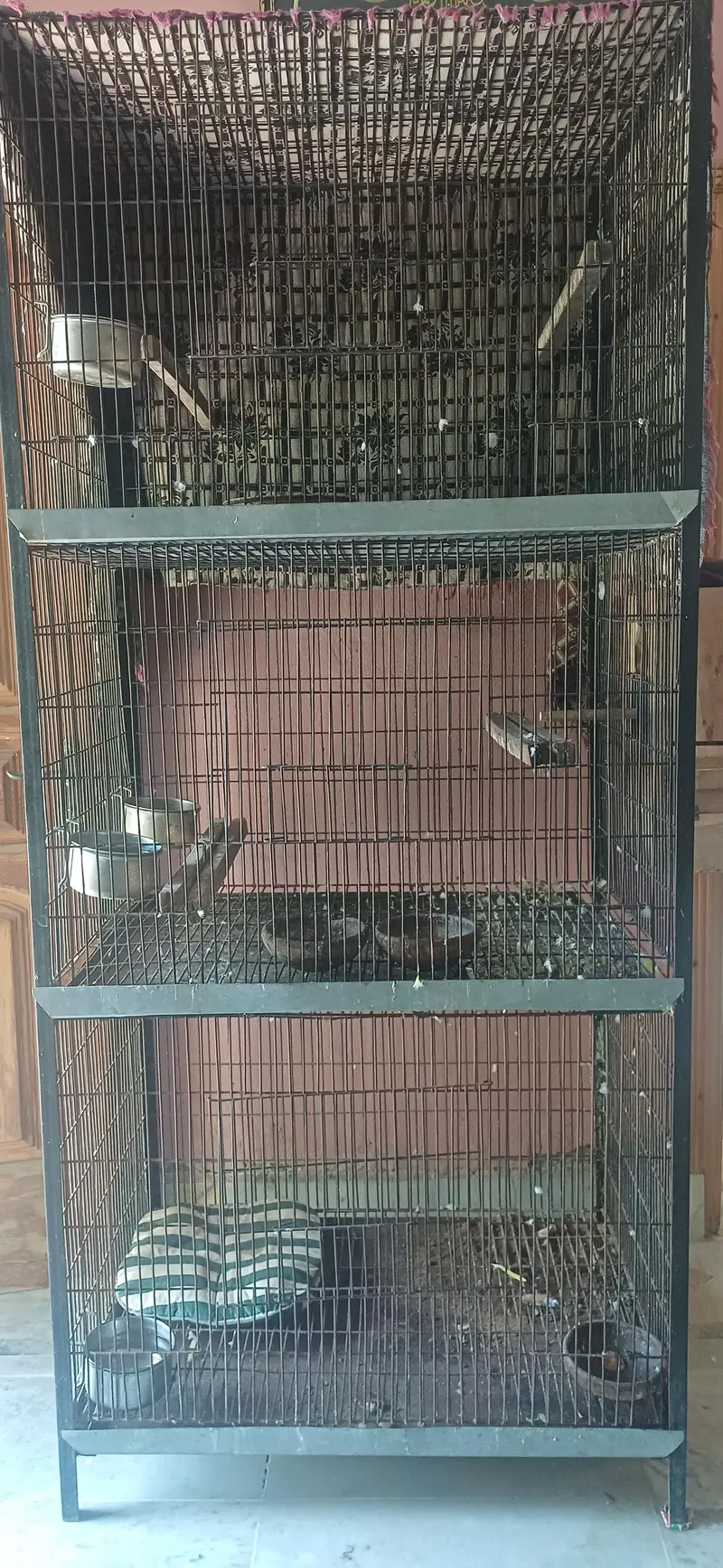 Strong Iron Cage — photo 8
