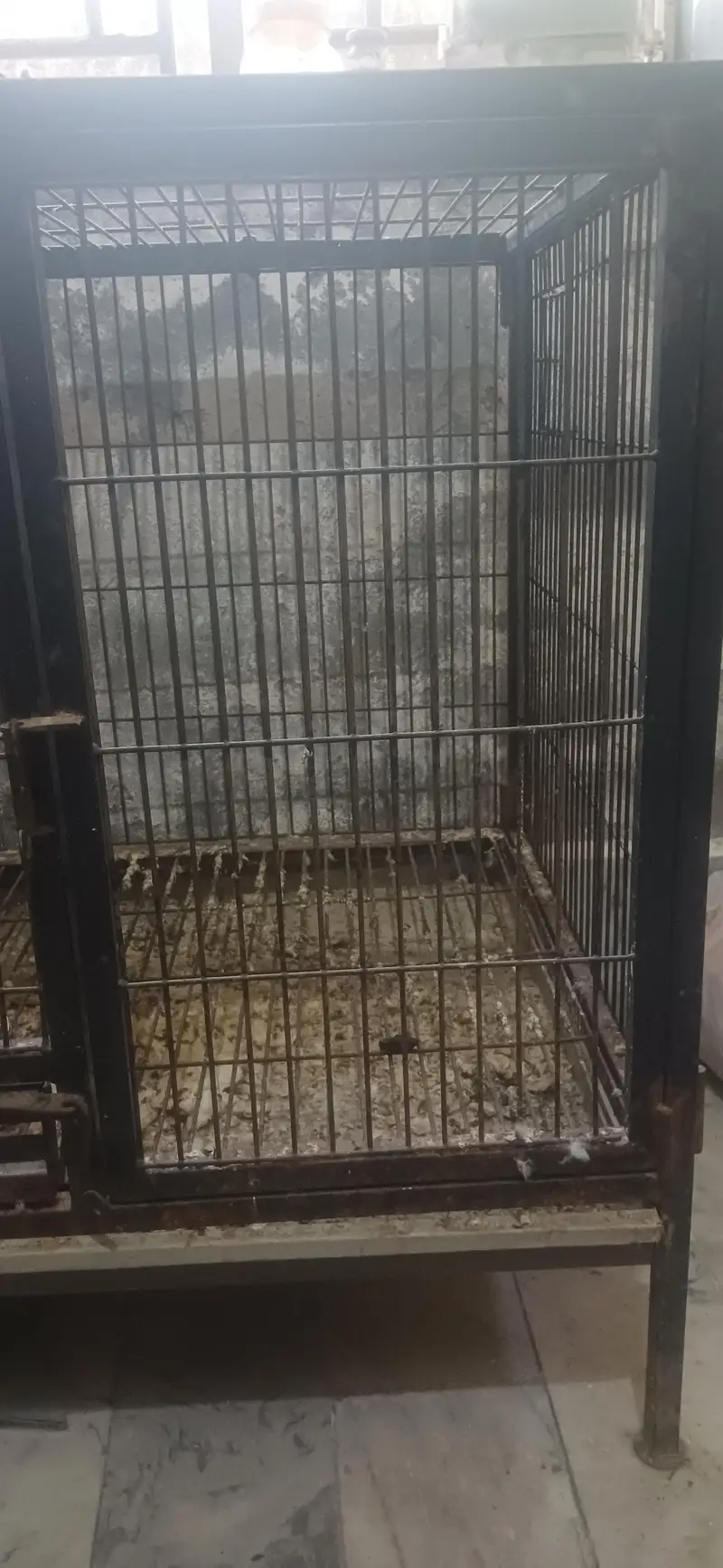 Strong Iron Cage — photo 10